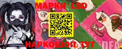 стафф Славгород