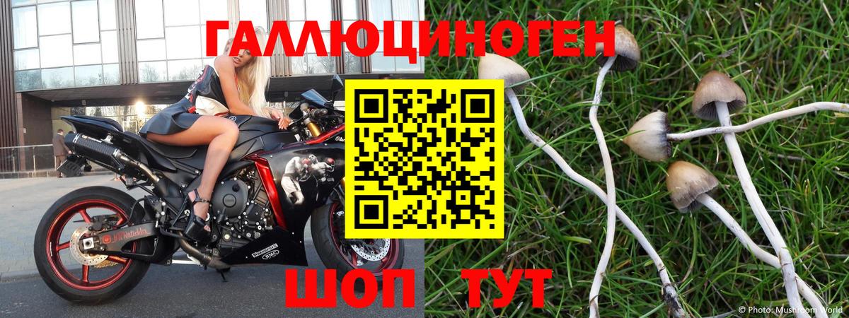Псилоцибиновые грибы Magic Shrooms Муравленко